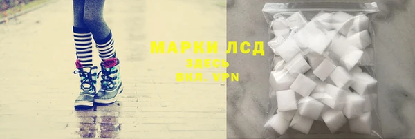 СК Магас